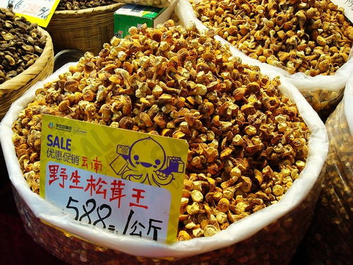 大假逛農(nóng)產(chǎn)品博覽會 海鮮臘肉琳瑯滿目，初加工產(chǎn)品迎來甩賣熱潮