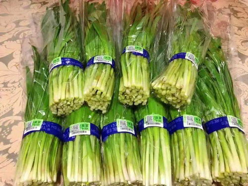 創(chuàng)建農(nóng)產(chǎn)品質(zhì)量安全省 | 第16期 萊州市 夯實(shí)監(jiān)管責(zé)任，護(hù)航食用農(nóng)產(chǎn)品初加工安全