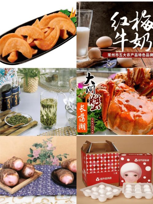 叫響“常”字農(nóng)產(chǎn)品品牌，常州名特優(yōu)農(nóng)產(chǎn)品南京展銷會二十三日在寧開幕