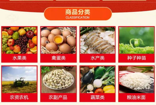 農(nóng)產(chǎn)品綜合市場 綠色健康生活的首選與食用農(nóng)產(chǎn)品初加工的變革性力量